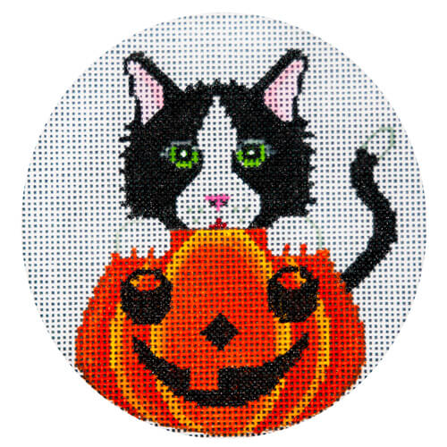 Black & White Cat in Pumpkin needlepoint