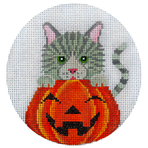 Grey Tabby in Pumpkin needlepoint