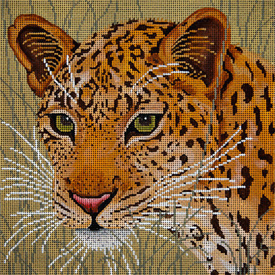 Leopard in Grasses