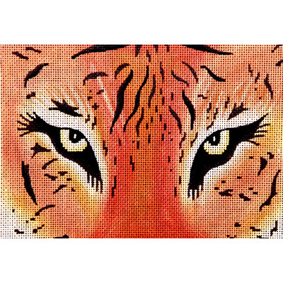 Tiger’s Eyes